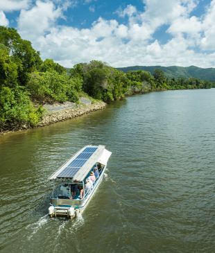 <p>7 <i>epic</i> <strong>Daintree River</strong> cruises to help you spot a croc</p>
