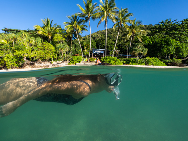a woman snorkelling at Fitzroy Island