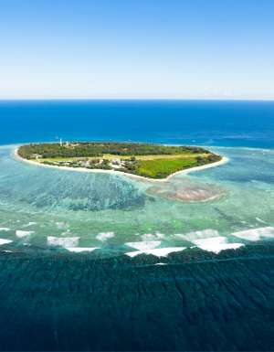an aerial view of Lady Elliot Island, Great Barrier Reef