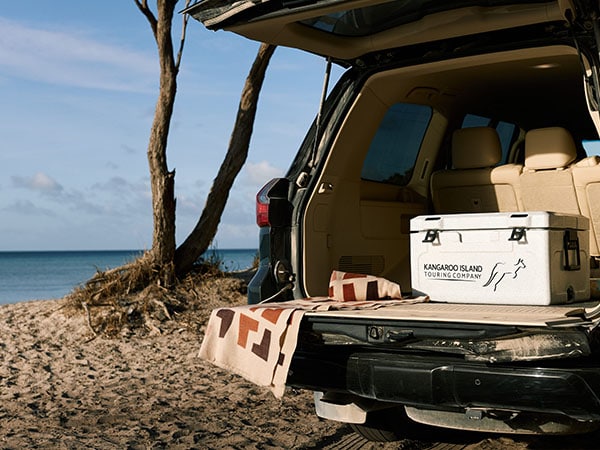 An esky in the back of a vehicle on tour with Kangaroo Island Touring Company.