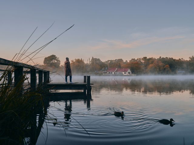 ducks swimming in Lake Daylesford