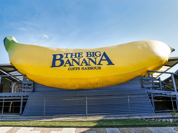The Big Banana