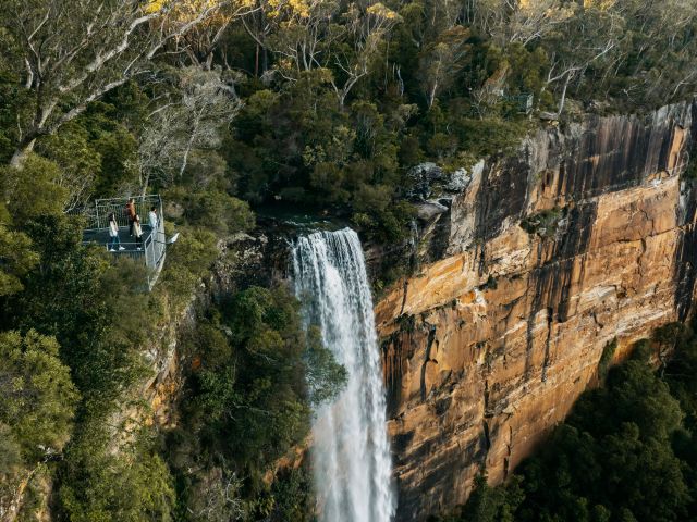people standing at the viewpoint above Fitzroy Falls