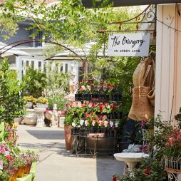 The Orangery, Dirty Janes Antique Emporium, Green Lane