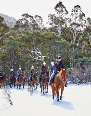 Thredbo Valley Horse Riding through the Snowy Mountains