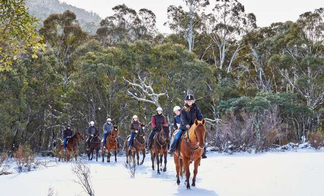 Thredbo Valley Horse Riding through the Snowy Mountains