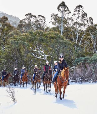 <p>21 of the <i>best things</i> to do in <strong>Jindabyne</strong> in 2025</p>
