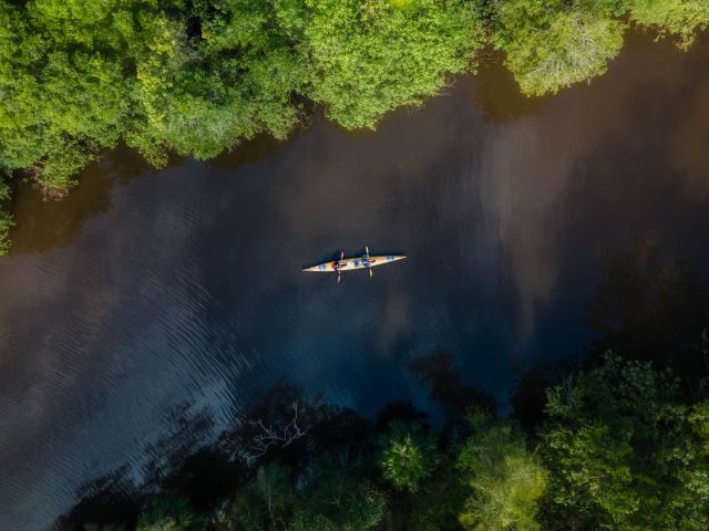 an aerial of a kayak along Noosa Everglades with Kanu Kapers