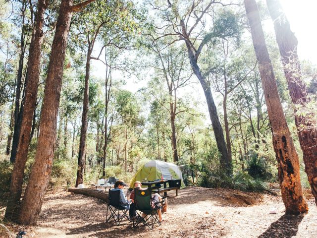 camping in the woods, Perth