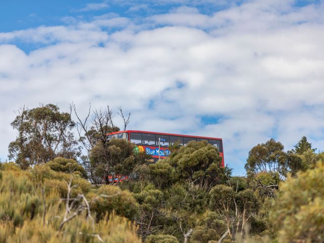 Explorer Bus, Blue Mountains