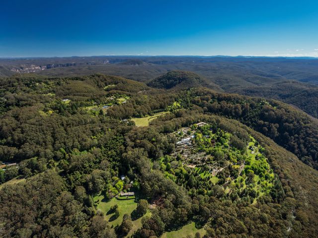 Mount Tomah, Blue Mountains Botanic Gardens