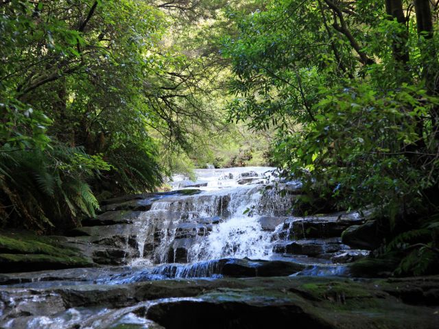 Leura Cascades, Blue Mountains