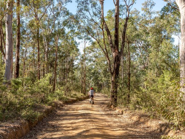 Blue Mountains Biking Adventures, Katoomba