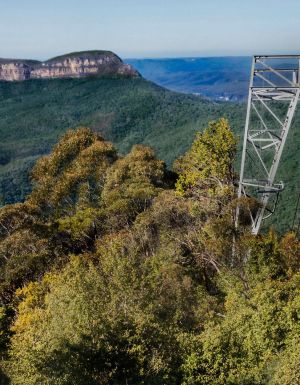 34 things every visitor must do in the Blue Mountains