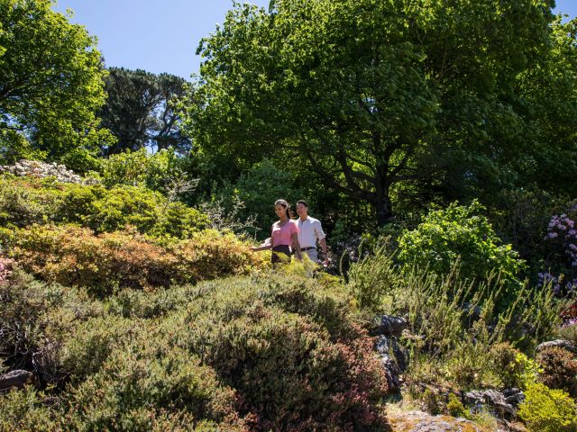 Everglades House and Gardens, Leura