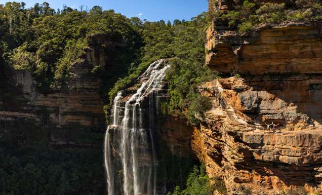 Grand Cliff Top Walk, Wentworth Falls