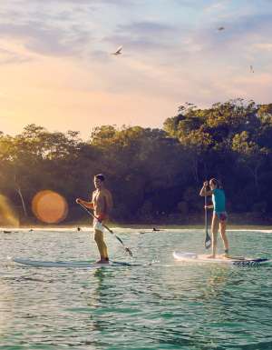 Two people on SUPs on the water in Noosa