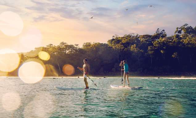 Two people on SUPs on the water in Noosa