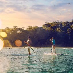 Two people on SUPs on the water in Noosa