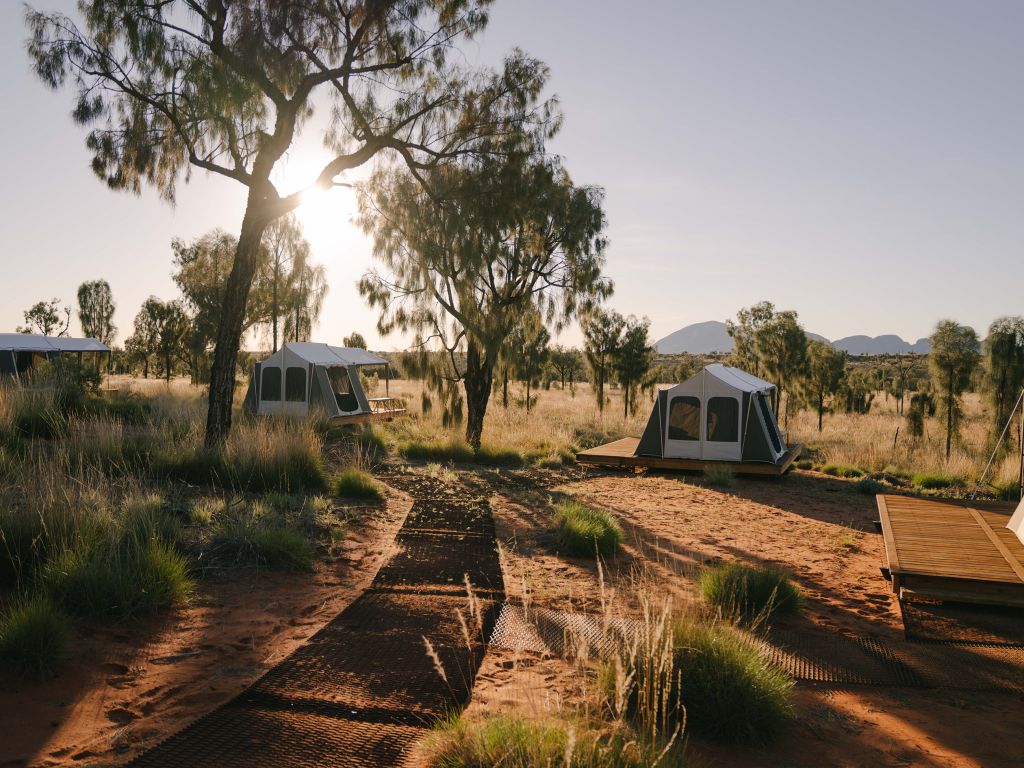 Campsite on the Uluṟu-Kata Tjuṯa Signature Walk