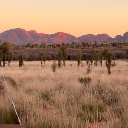 Uluṟu-Kata Tjuṯa Signature Walk