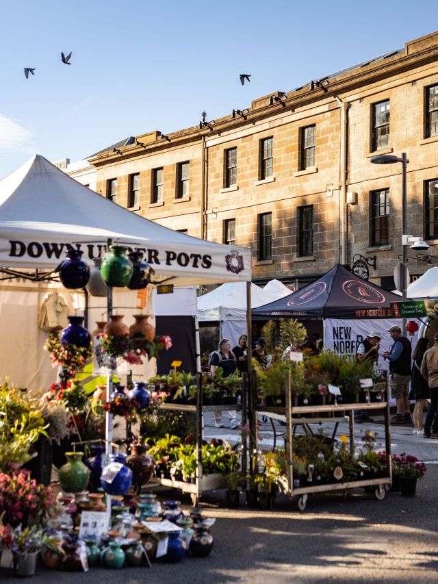 Salamanca Market in Hobart, Tas