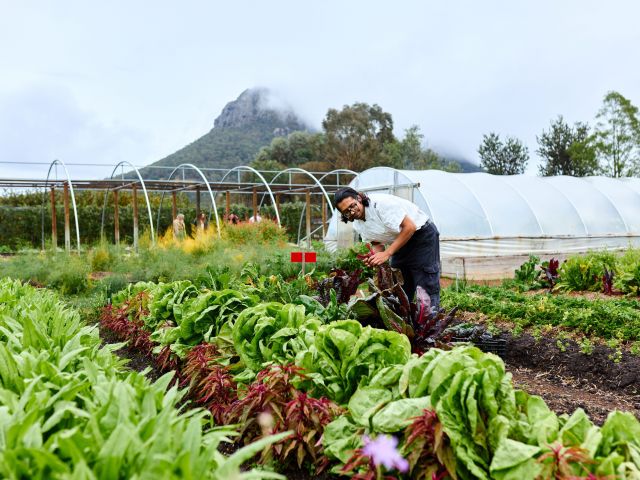 The Royal Mail Hotel in the Grampians, Vic