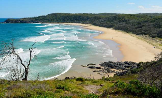an aerial view of Alexandria Bay, Noosa