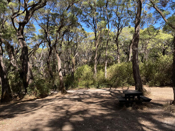 the Boranup Campground, Margaret River