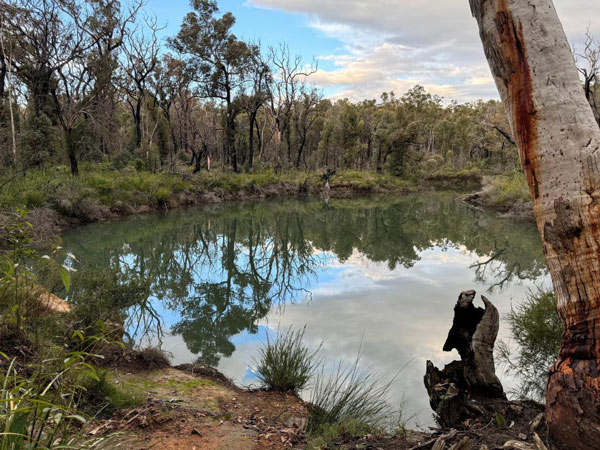 the upper Margaret River within Canebrake Pool Campground