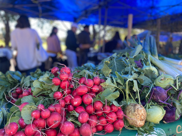 farm-fresh produce at Freo Farmers Market