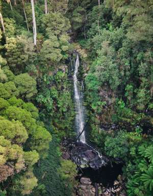 the Erskine Falls in Lorne