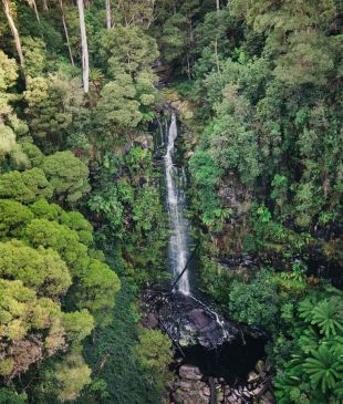 <p><i>6 must-see waterfalls</i> in <strong>Lorne</strong></p>
