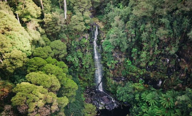 the Erskine Falls in Lorne