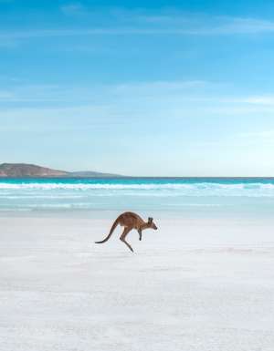 Lucky Bay, Tourism Western Australia
