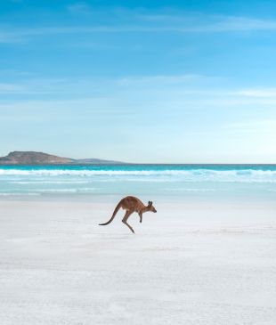 <p><strong>Australia’s</strong> <i>most stunning white sand beaches</i> revealed</p>
