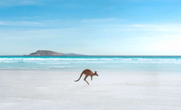 Lucky Bay, Tourism Western Australia