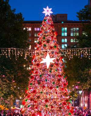 Martin Place Christmas Markets in Sydney, NSW