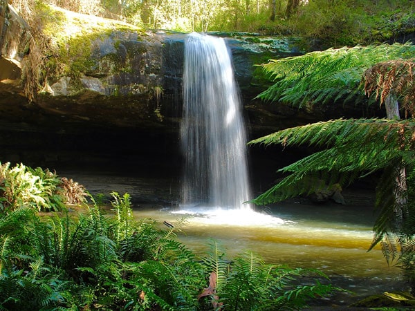 the Kalimna Falls in Lorne