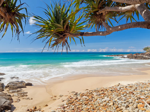 Sunshine Beach in Noosa National Park