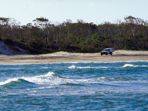 a 4WD driving along the shore of Teewah Beach