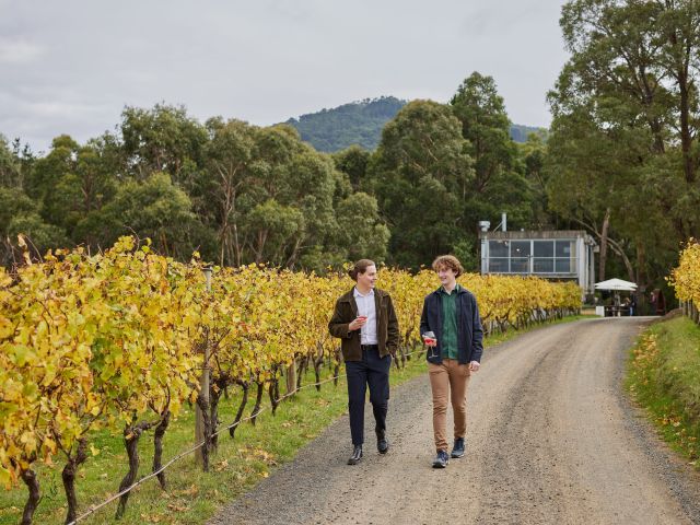 wine tastng at Mount Towrong Vineyard