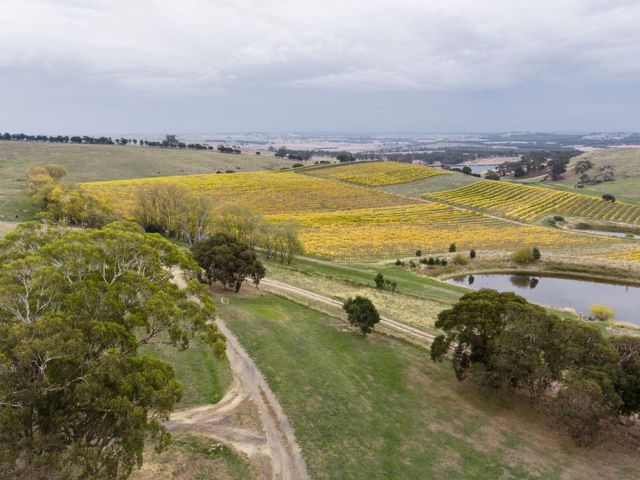 Granite Hills Wines from above