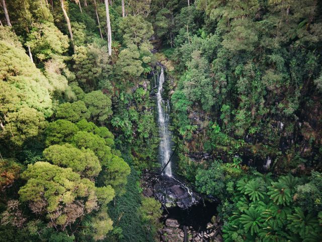 Erskine Falls, Lorne from above