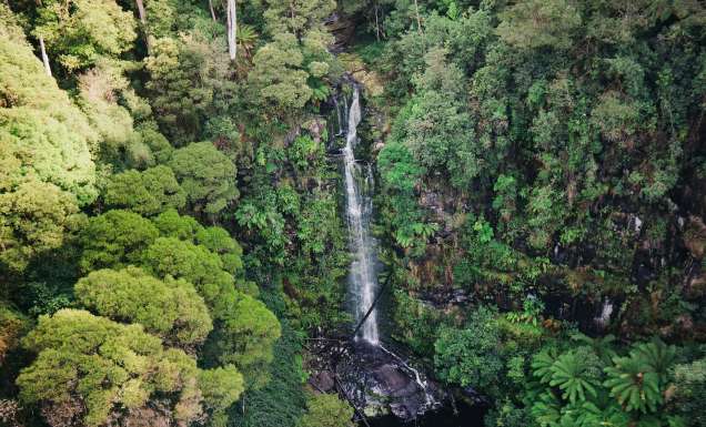 Erskine Falls, Lorne from above