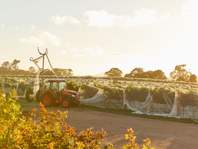 Hanging Rock Winery, Daylesford