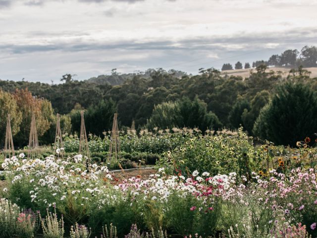 flower gardens at Dairy Flat Farm