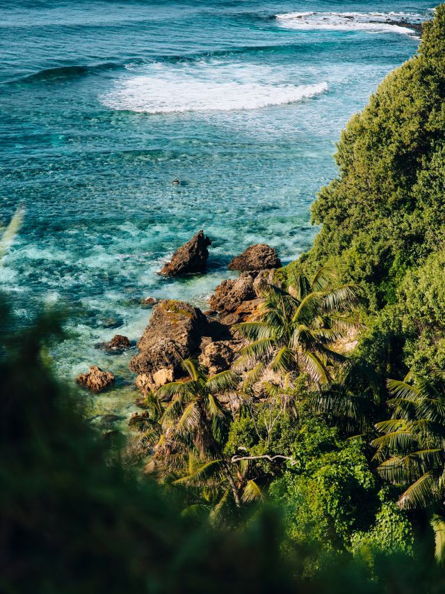 Lord Howe Island, NSW