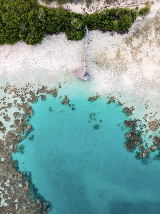 Haggerstone Island, Qld
