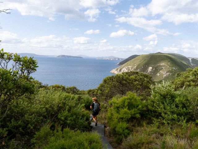 Bald Head Trail and Bluff Knoll, Stirling Range National Park